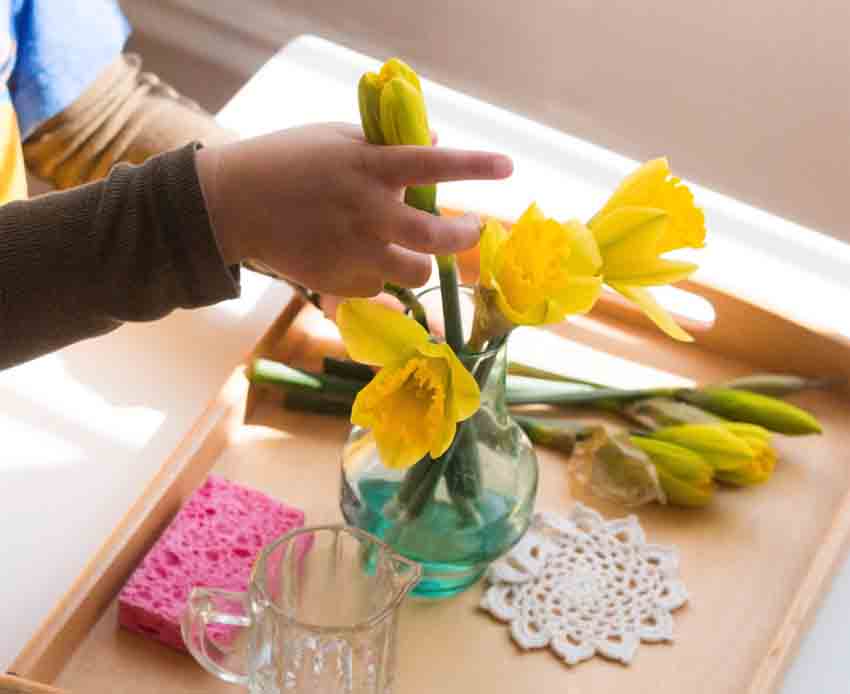 Arranging Flowers